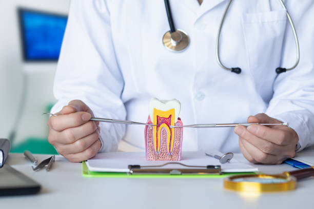 Best Emergency Wisdom Teeth Removal in Cumings, TX